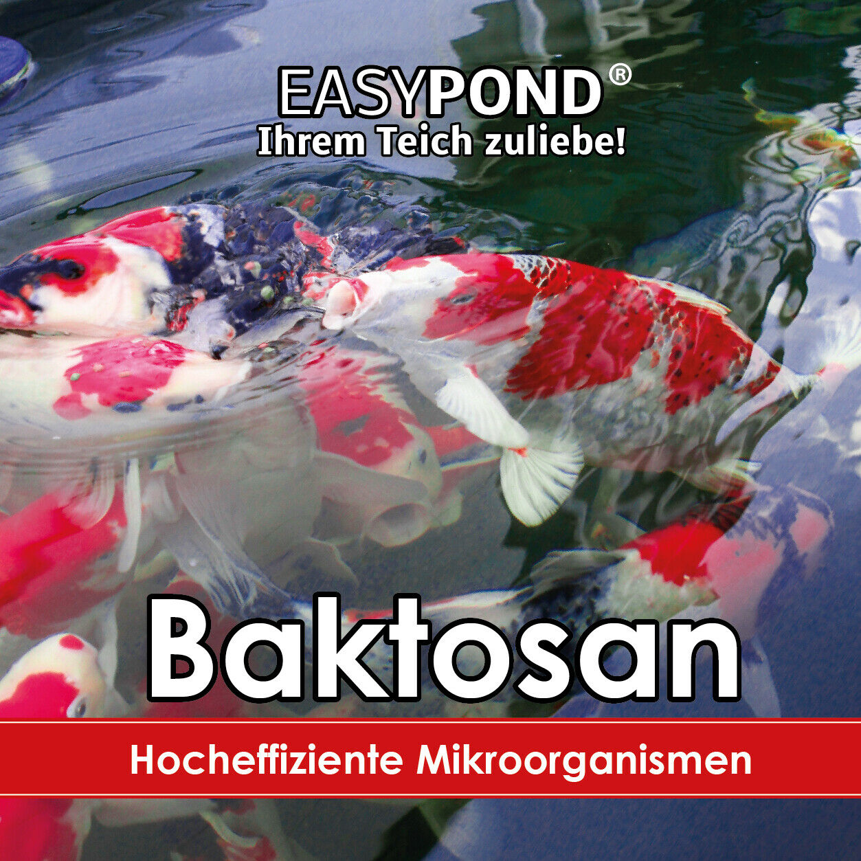 EASYPOND® BaktoSan Mikroorganismen